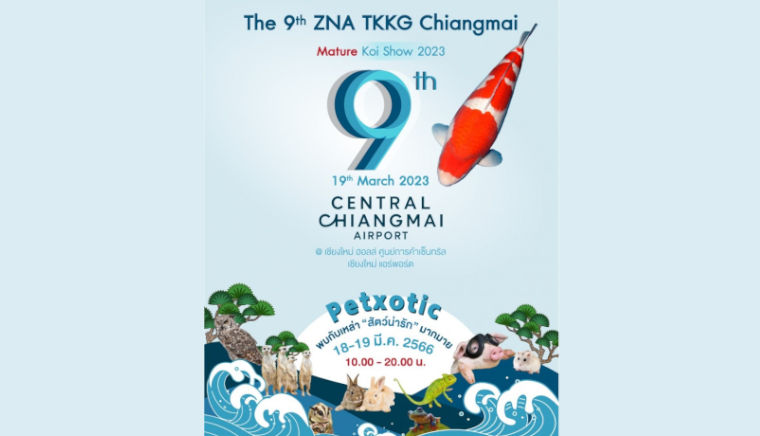 The 9th ZNA TKKG Chiangmai Mature Koi Show 2023