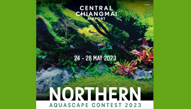 Northern Aquascape Contest 2023