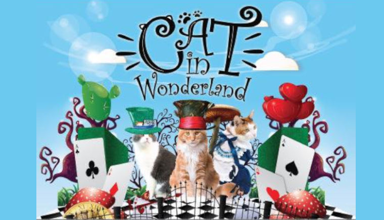 Cat In Wonderland 2023