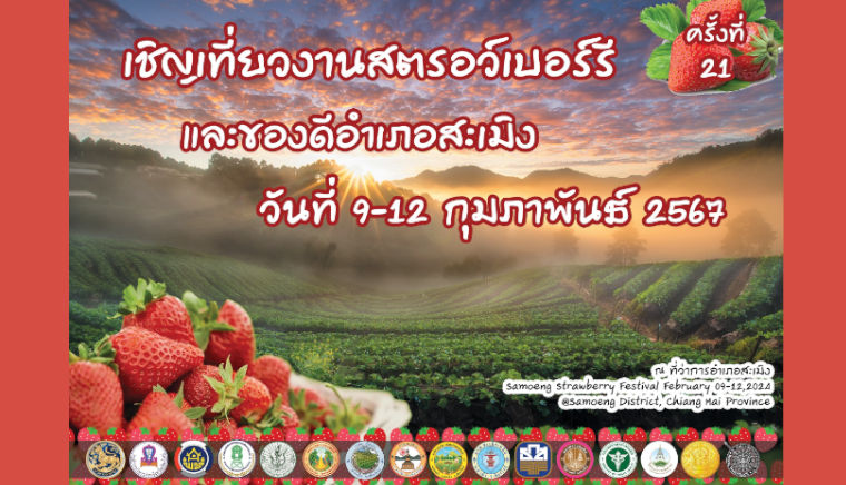 Strawberry Fair and good things in Samoeng District, the 21th