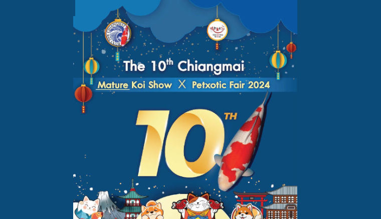 The 10th Chiangmai Mature Koi Show x Petxotic Fair 2024