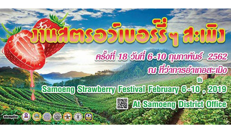 Strawberry of good, samoeng District 18