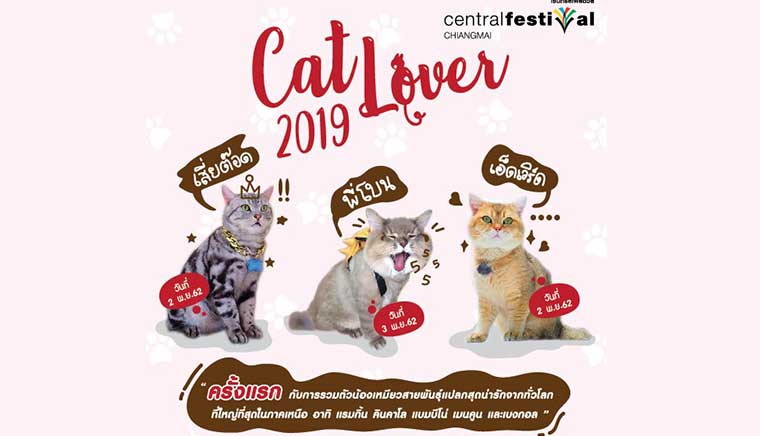 CAT LOVER 2019
