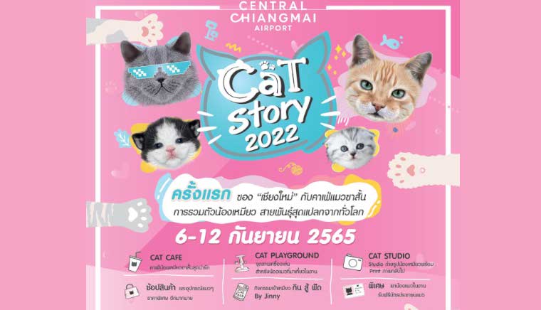 Cat Story 2022