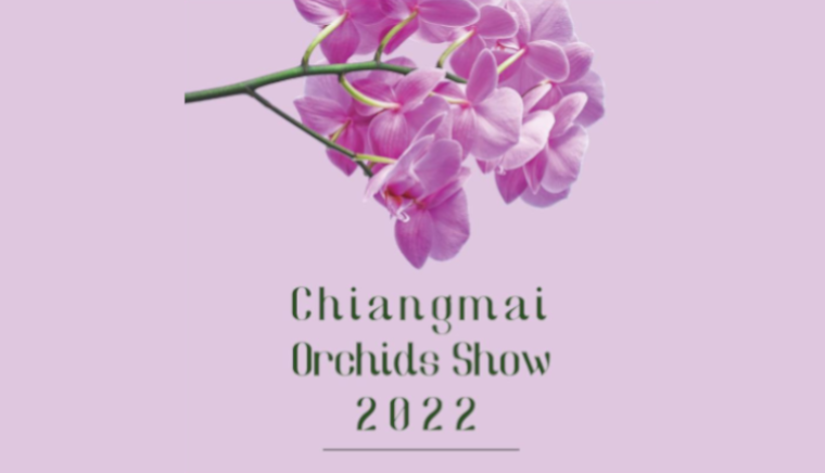 Chiangmai Orchids Show 2022