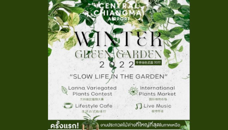 Winter Green Garden 2022