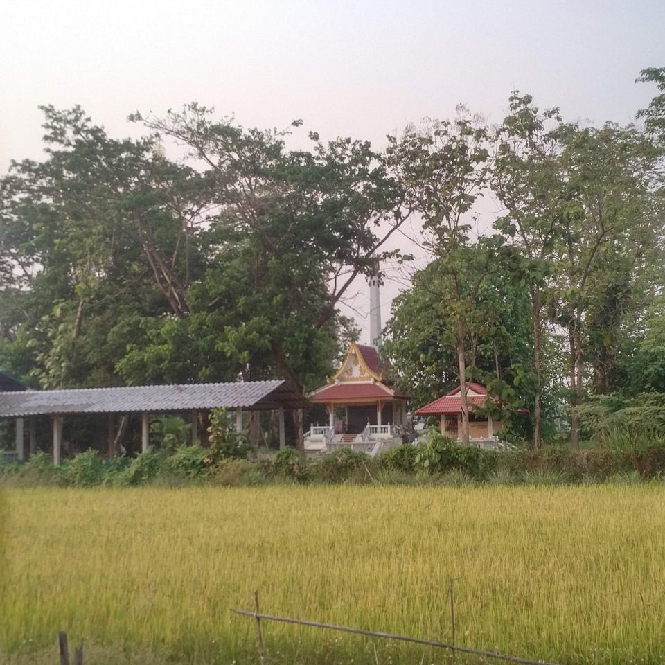 Baan Ton Ngew Cemetery