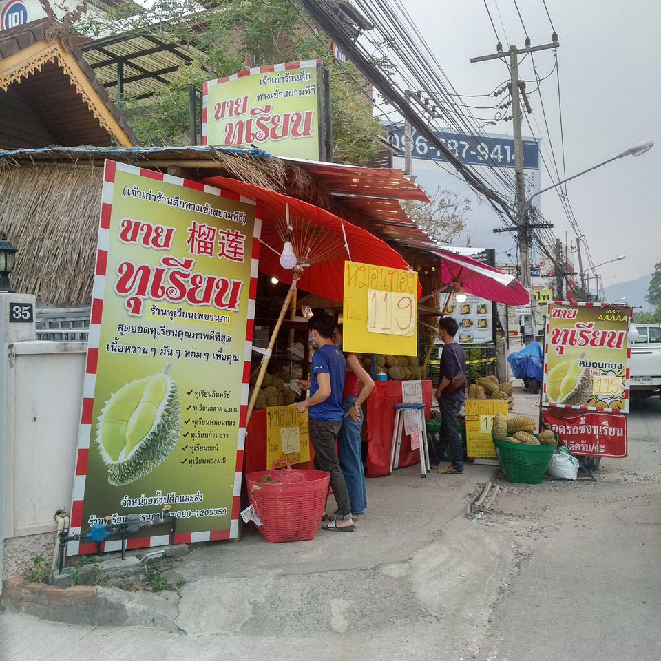 Sell old durian, Siam TV entrance