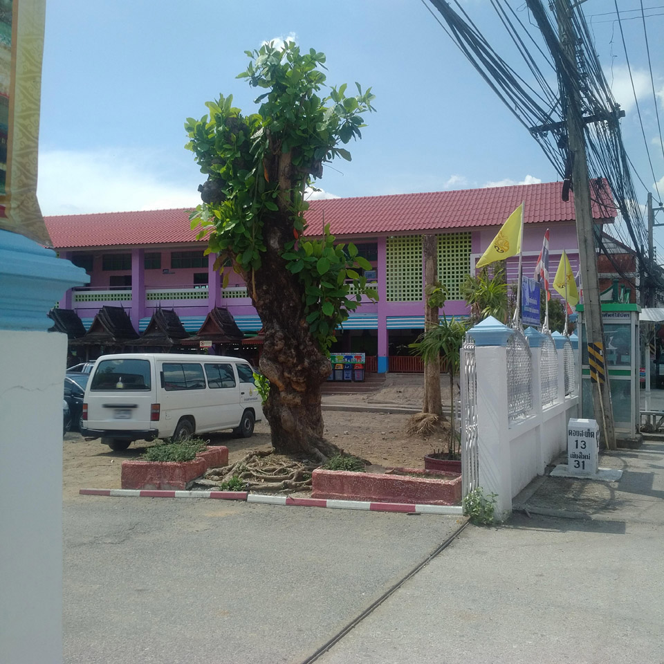 Borsang Narakorn Pasat school