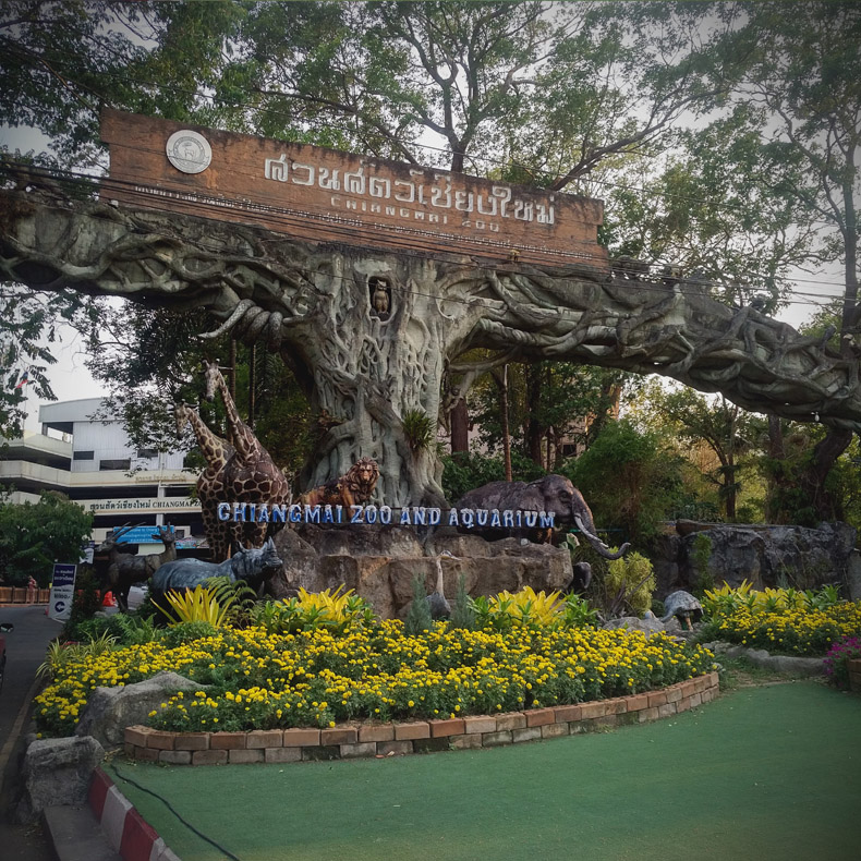 Chiangmai Zoo