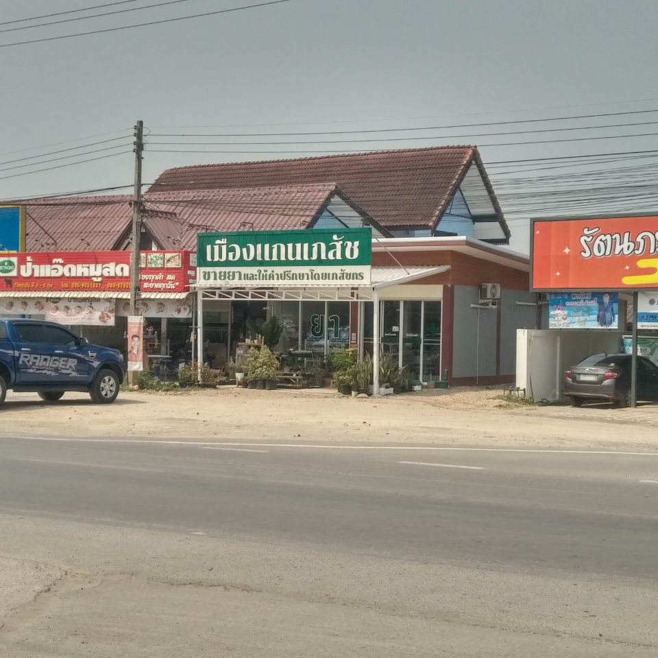Muang Kaen Pharmacy