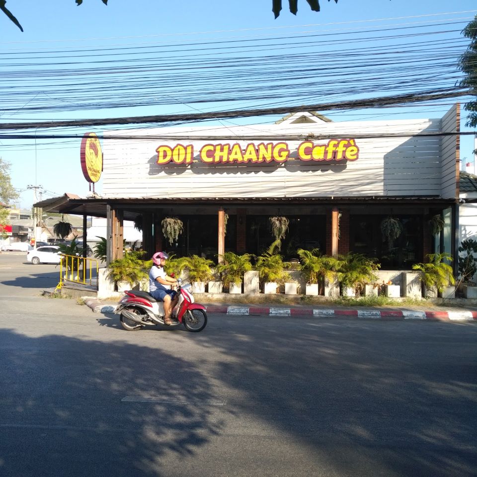Coffee Doi Chaang (Donkamon)