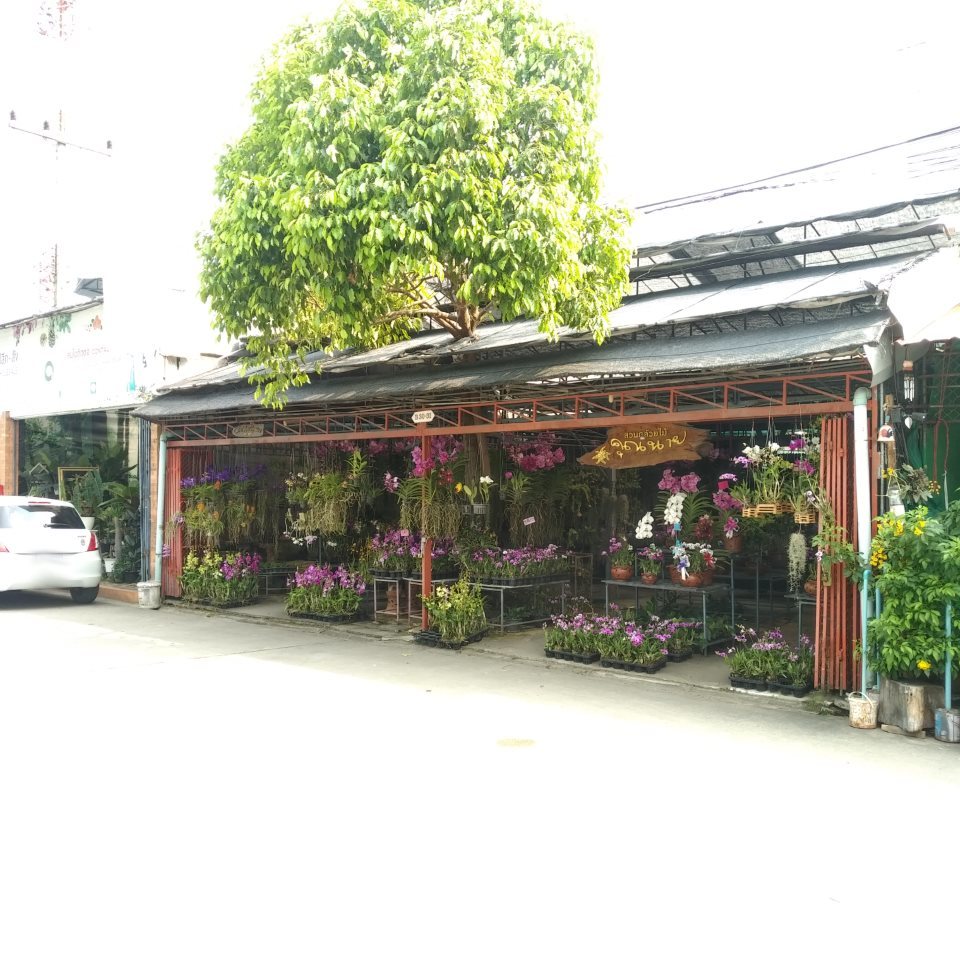 Khun Nai Orchid Garden