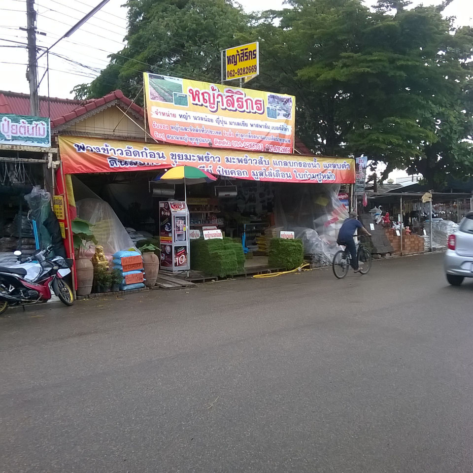 Sirikorn grass shop
