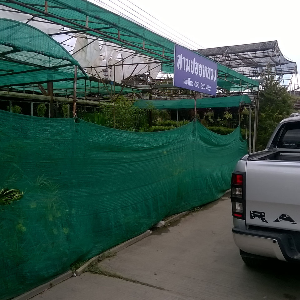 Sampoyluang plant shop