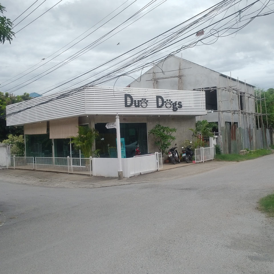 Duo Dogs
