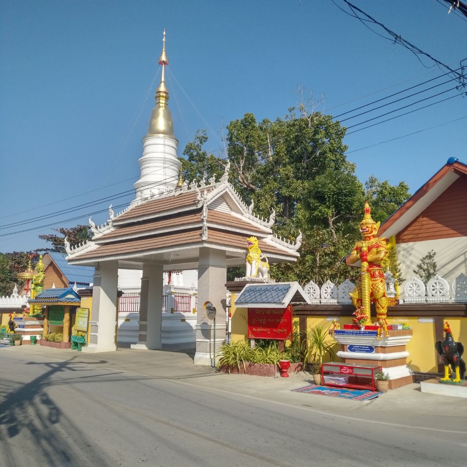 Wat Pa Sak Noi
